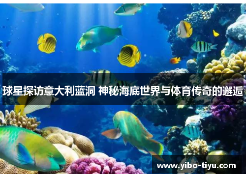 球星探访意大利蓝洞 神秘海底世界与体育传奇的邂逅