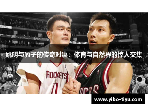 姚明与豹子的传奇对决：体育与自然界的惊人交集