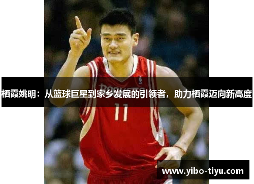 栖霞姚明：从篮球巨星到家乡发展的引领者，助力栖霞迈向新高度