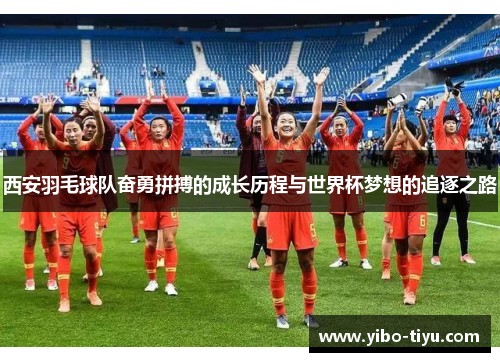 西安羽毛球队奋勇拼搏的成长历程与世界杯梦想的追逐之路